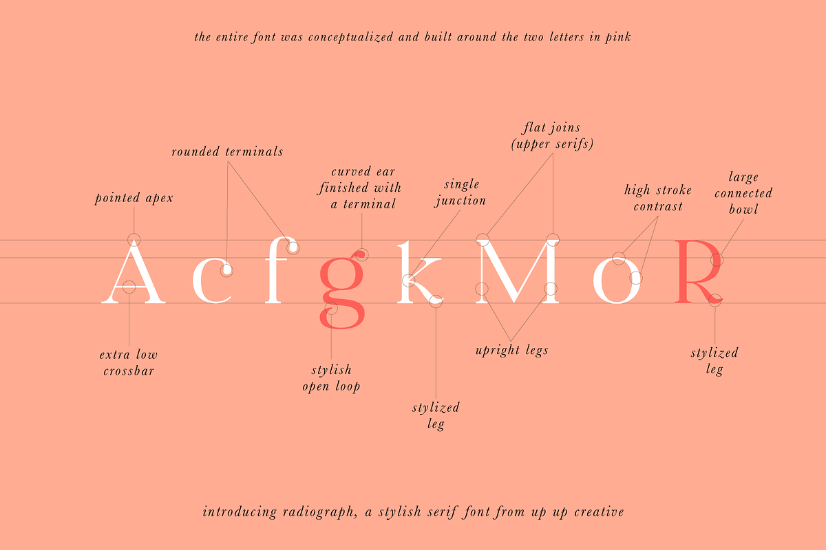 Radiograph, A Serif Font, a Serif Font by Up Up Creative (Photo 4 of 12)