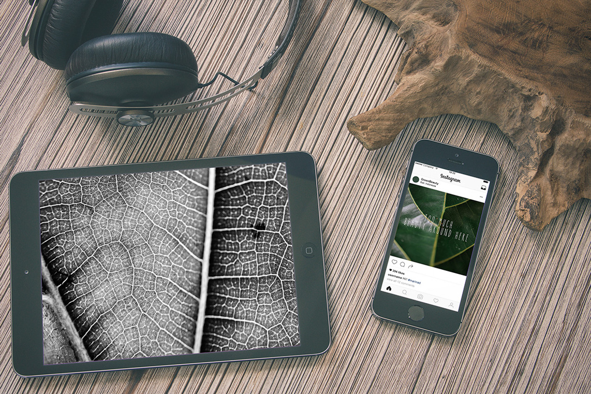15 Green plant Insta photos, a Product Mockup by Nellaino (Photo 3 of 7)