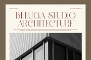 Diores Elegant Serif Font, a Serif Font by Graphicxell (Thumbnail 3 of 8)
