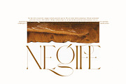 BLOSTA Font Duo//Serif & Script, a Serif Font by Alcode (Thumbnail 15 of 23)