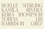 Terquiny - Modern Luxury Serif, a Serif Font by Shapespired Design (Thumbnail 7 of 17)