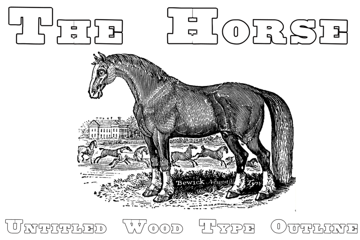 Untitled Wood Type FAMILY PACK, a Serif Font by Intellecta Design (Photo 7 of 7)
