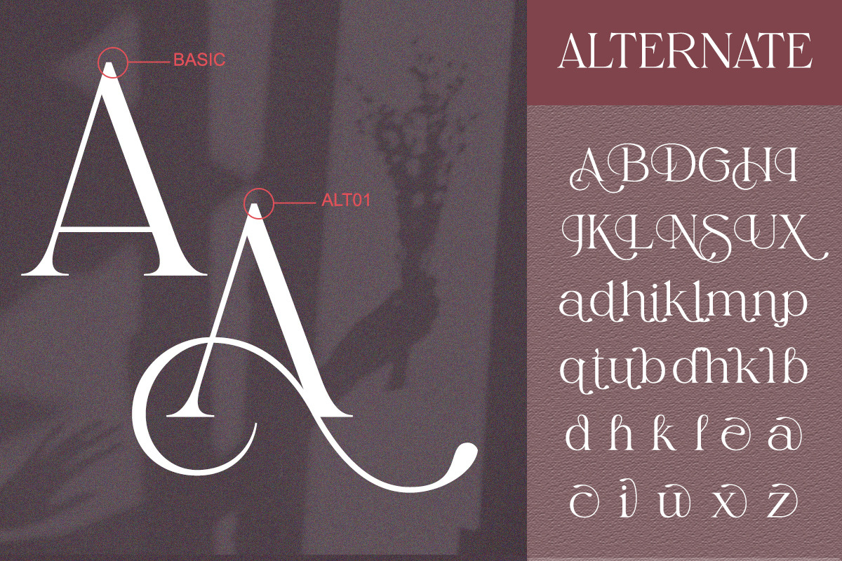 Elaine Dawn - Modern Luxury Serif, a Serif Font by Qweera Studio (Photo 9 of 12)