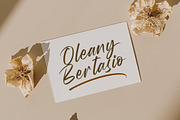 Wystine Esphelta Modern Brush Font, a Script Font by Letterena Studios Script (Thumbnail 12 of 20)