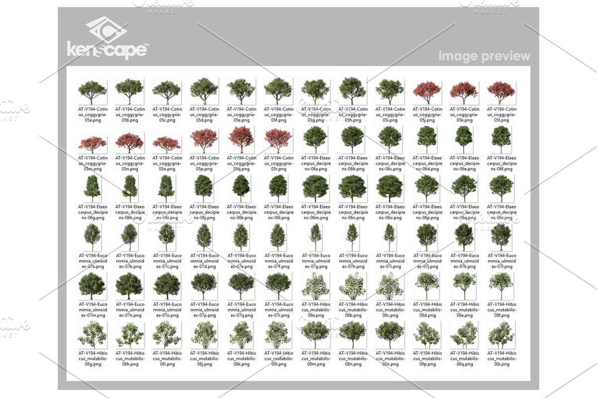 72 Assorted Trees Photo Overlays, a Nature Photo by KenScape (Photo 3 of 3)