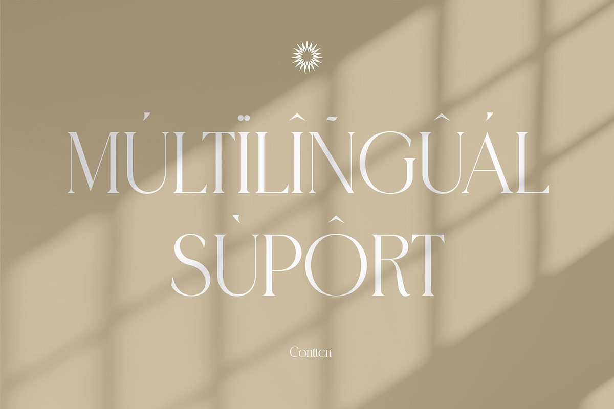 Contten Modern Ligature Serif, a Serif Font by Alfinart (Photo 7 of 11)
