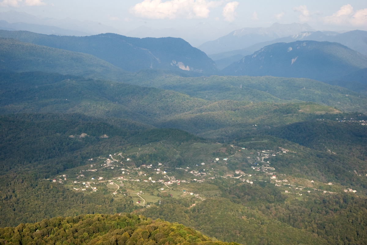 Mountain View, forested., a Nature Photo by katykin (Photo 5 of 5)