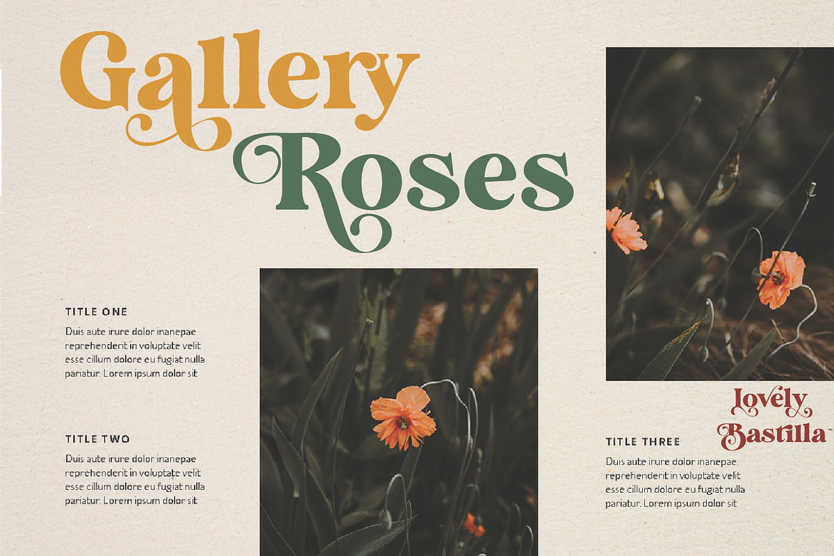 Lovely Bastilla | Retro Serif Font, a Serif Font by MchCrafter (Photo 2 of 18)