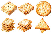 Cracker Watercolor Clipart, an Illustration by Designworld (Thumbnail 2 of 7)