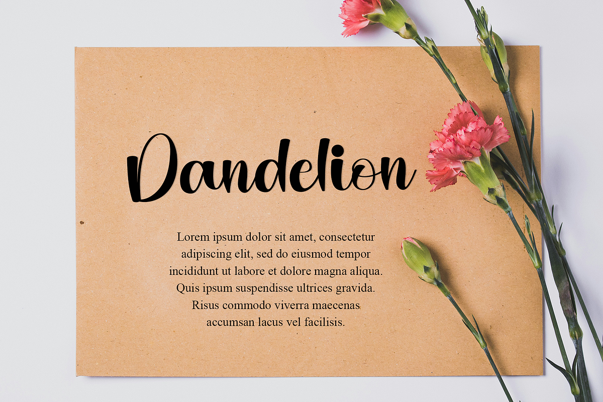 Angela in Wonderland, a Handwritten Font by InermediaSTUDIO (Photo 4 of 8)