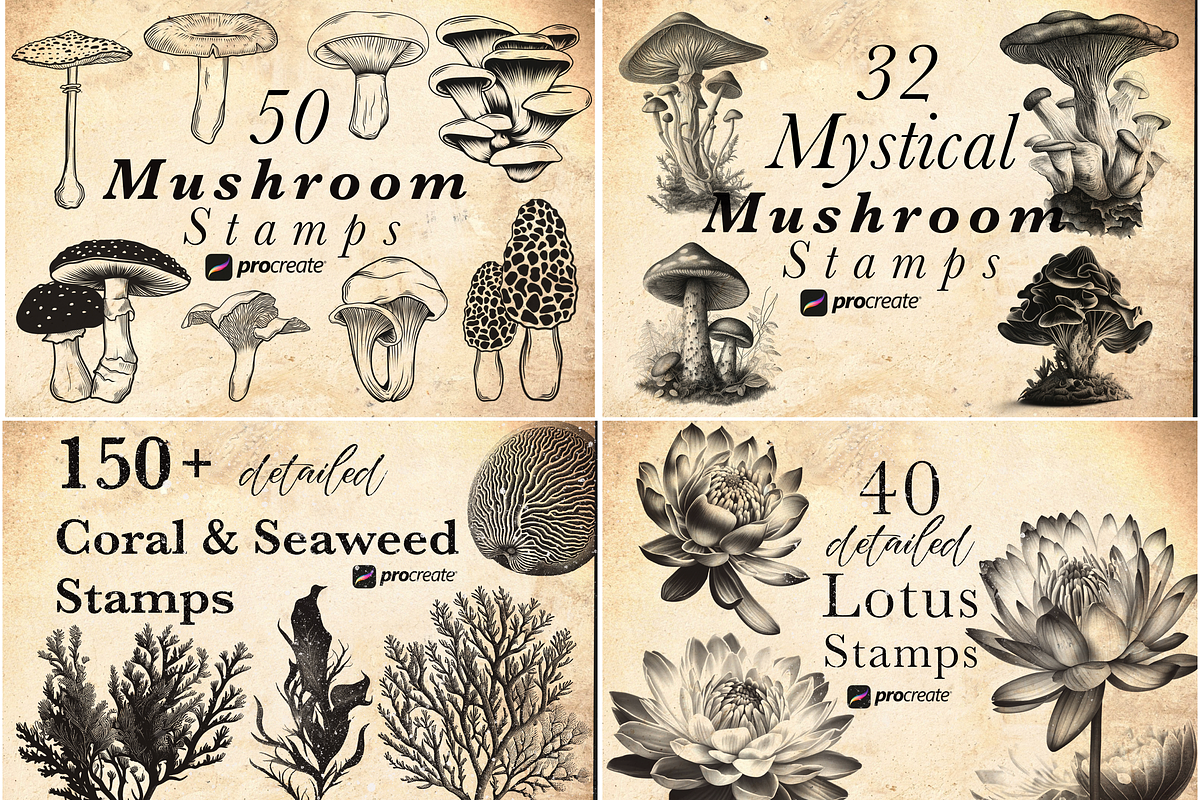 2000 Botanical Lover Stamp Brushes, a Brushes & More by CreativeProBrushes (Photo 4 of 6)