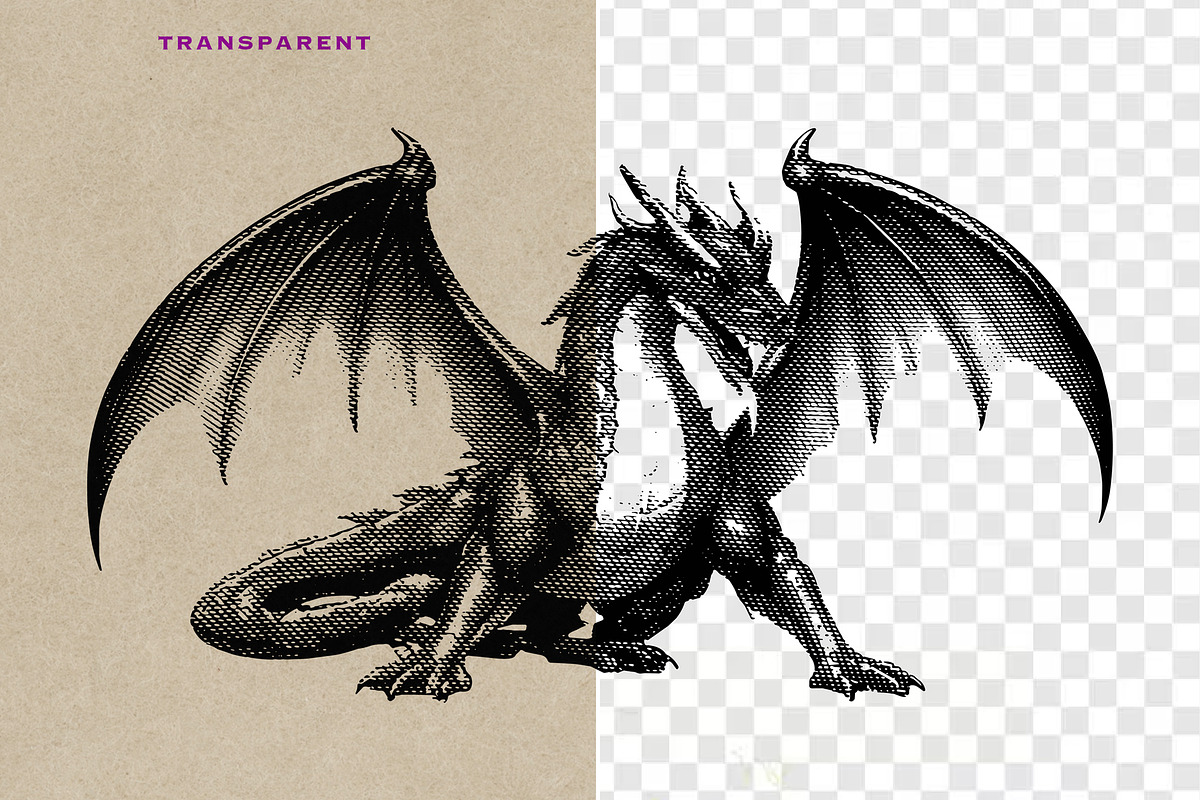 Dragon Heraldry Engraving Collection, an Object Illustration by Kaizla03 (Photo 3 of 4)