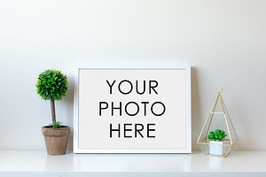 White Frame With Topiary & Geoplant