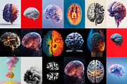 Artistic Human Brain Graphics, an Object Graphic by HipFonts (Thumbnail 6 of 10)