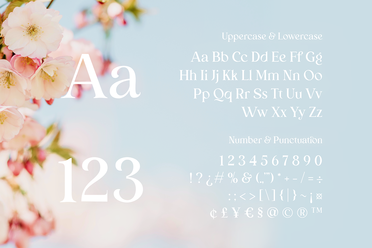 Bunga Zivilia - Display Serif Font, a Serif Font by Artchitype Studio (Photo 9 of 12)