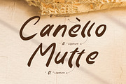 Whooffely, a Script Font by Integritype Studio (Thumbnail 14 of 15)