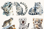 Watercolor Snow Leopard Clipart, an Animal Illustration by Design Scotch (Thumbnail 4 of 8)