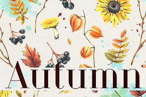 Autumn Botanical Watercolor Isolated, an Illustration by NATASHA CHU