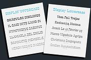 Blackest - 8 fonts, a Serif Font by Zetafonts (Thumbnail 8 of 14)