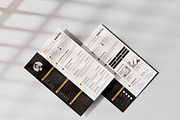 Modern Executive Resume Template, a Resume Template by Cleffon_Graphic_Studio (Thumbnail 2 of 6)