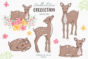 Woodland Deer Clipart, an Animal Illustration by Tommy & Tilly Design (Thumbnail 2 of 6)