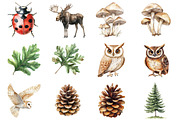 Watercolor Woodland Story Clipart, a Seasonal Illustration by CitraGraphics (Thumbnail 5 of 7)