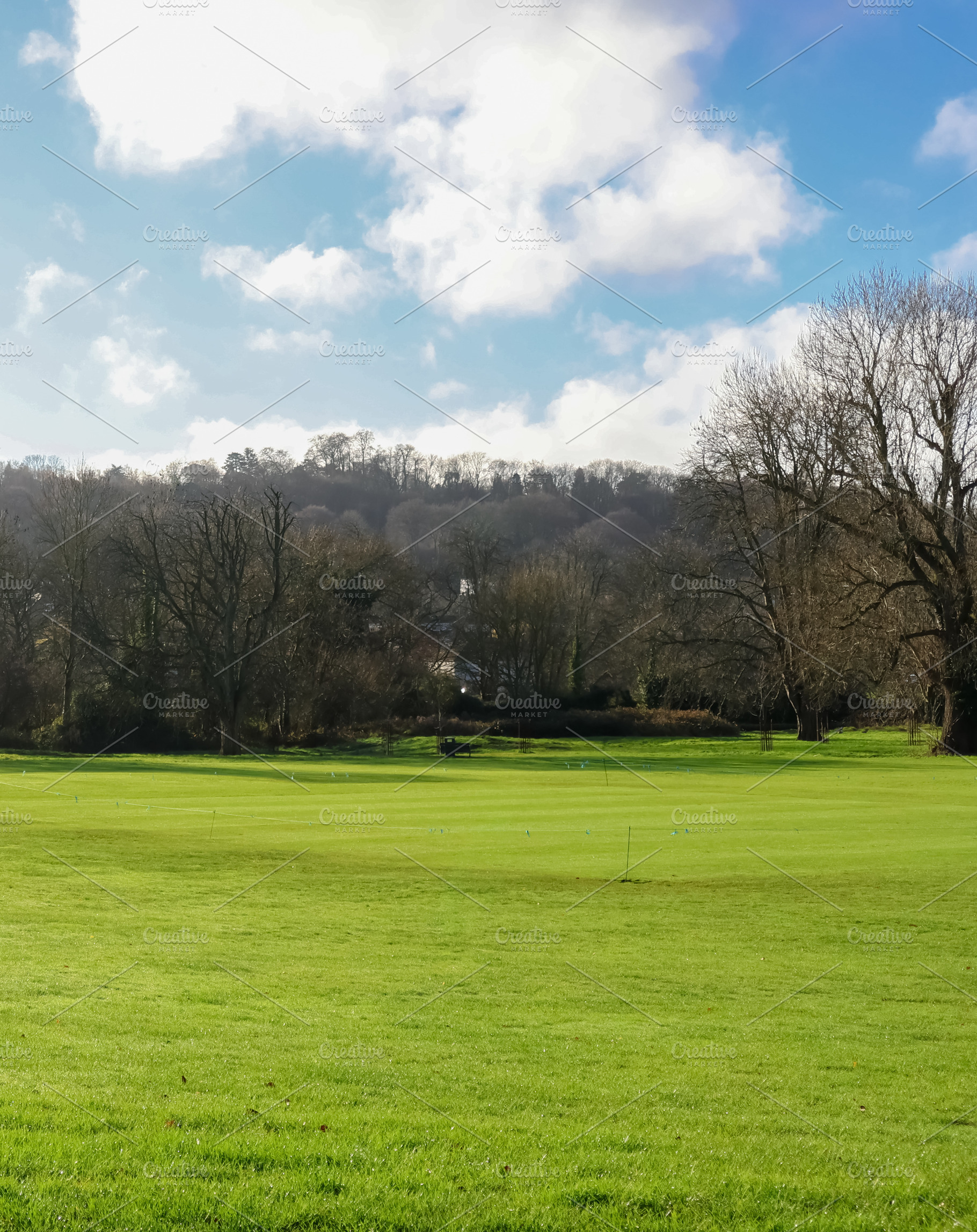Lush green meadow with striped lawn and distant forest under a b, a Photo by Studio ANNA