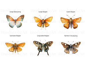 Skipper Butterfly Clipart, Butterfly