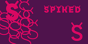 Ranchstyle, a Sans Serif Font by Ampersand Type Foundry (Thumbnail 7 of 18)