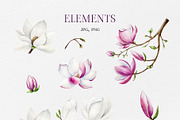 MAGNOLIA - Watercolor collection, a Decorative Illustration by Navenzeles (Thumbnail 4 of 13)