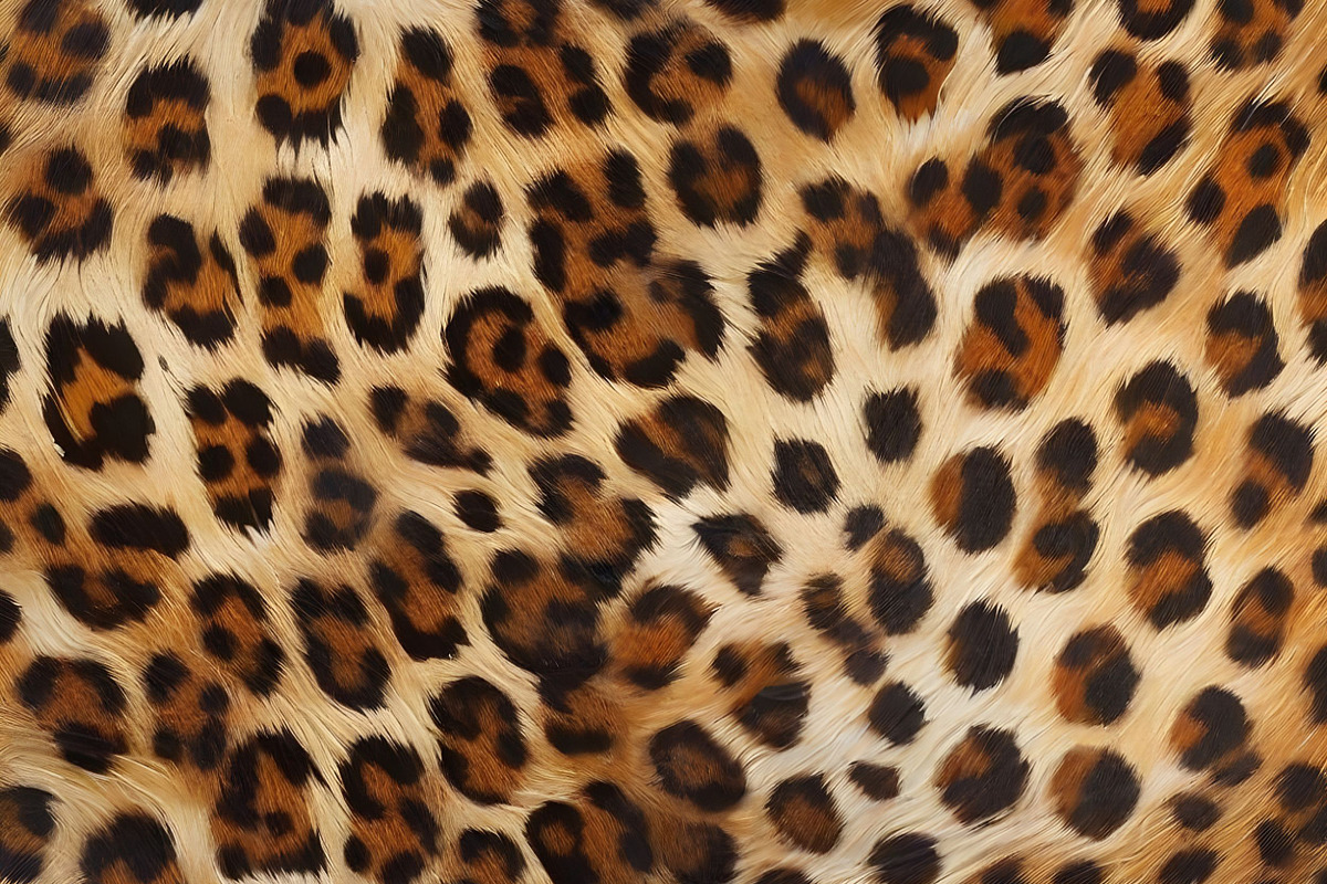 Safari Animals Skin Print Texture, a Graphic by UniqueMe (Photo 9 of 21)