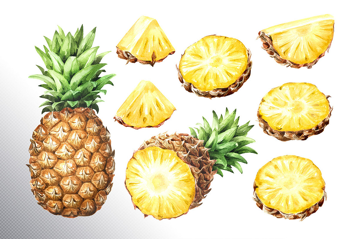 Tropical Pineapple. Hand painted, a Food Illustration by Daria Ustiugova (Photo 26 of 28)