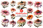 Watercolor Coneflower PNG Clipart, a Graphic by CitraGraphics (Thumbnail 1 of 4)