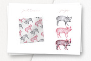 Hand drawn Illustrations Pigs, an Animal Illustration by Greek fonts by nantia.co (Thumbnail 5 of 6)