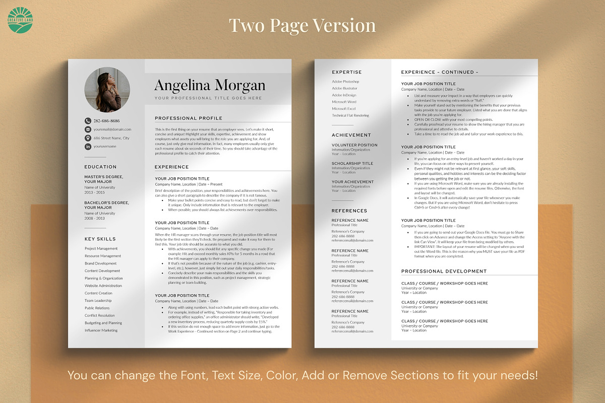 Resume/CV - The Angel, a Resume Template by CreativeLandStudio (Photo 3 of 10)