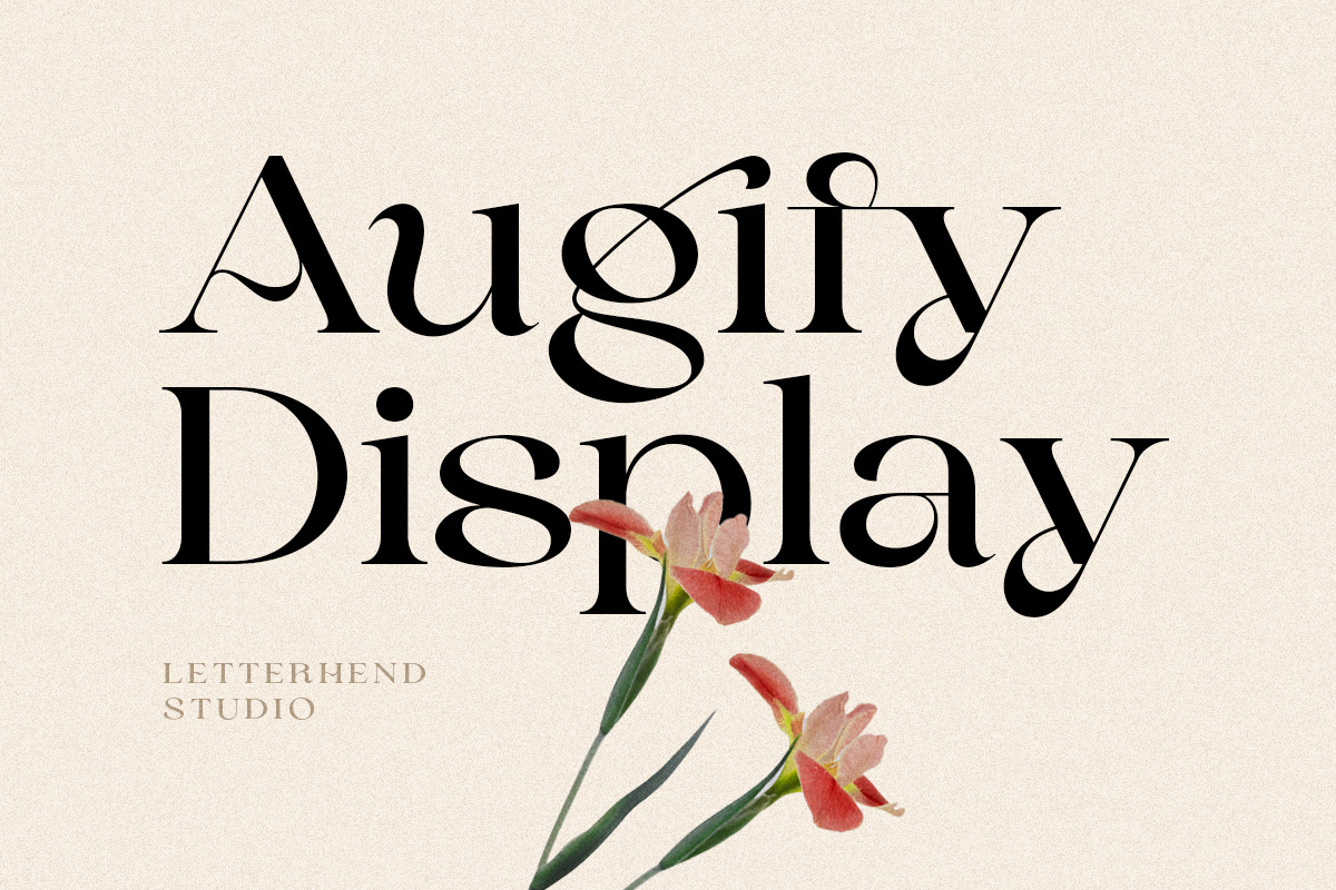 Augify Display, a Serif Font by Letterhend Studio