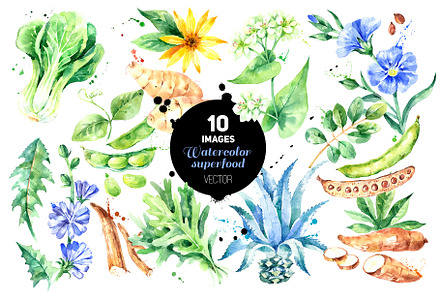 Watercolor Superfood Vector Set