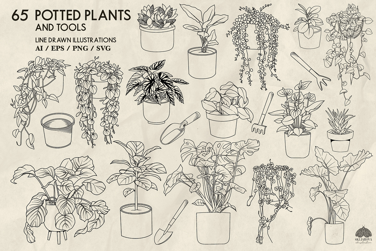 Potted Plants Line Art + Procreate, an Object Illustration by Skliarova (Photo 4 of 4)