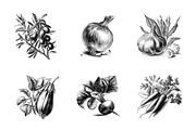 Vegetables in engraving style / 01, a Food Illustration by Graxaim Mock-up (Thumbnail 3 of 4)