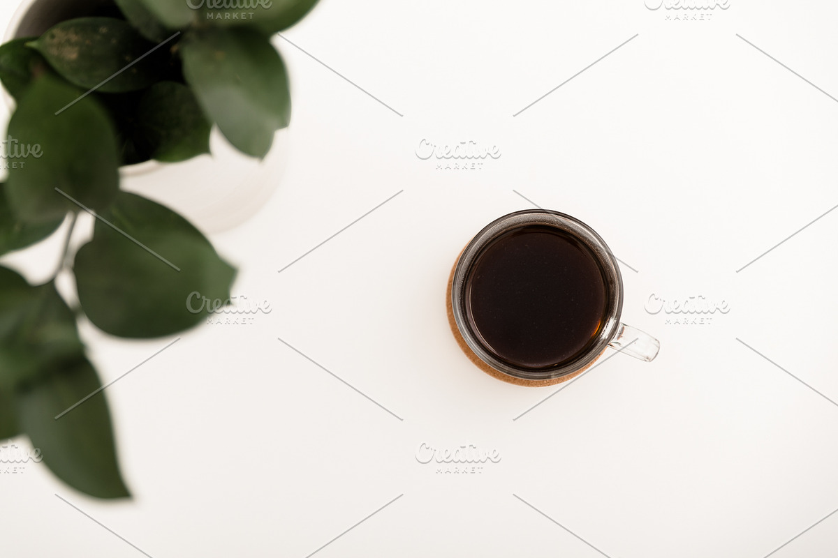 Green Working Stock Photo Bundle, a Business Photo by EKL photo (Photo 5 of 8)