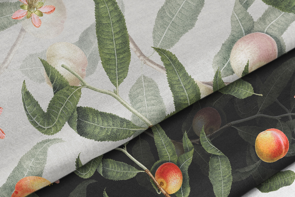 Vintage Peach Botanical Graphics #02, an Object Illustration by Olga Begak Art & Design (Photo 5 of 8)