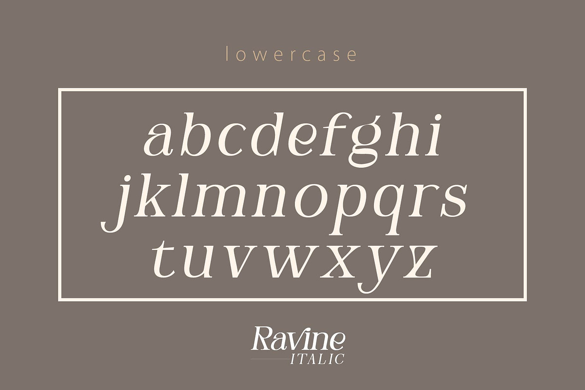 RAVINE ITALIC, a Serif Font by Olexstudio (Photo 6 of 8)