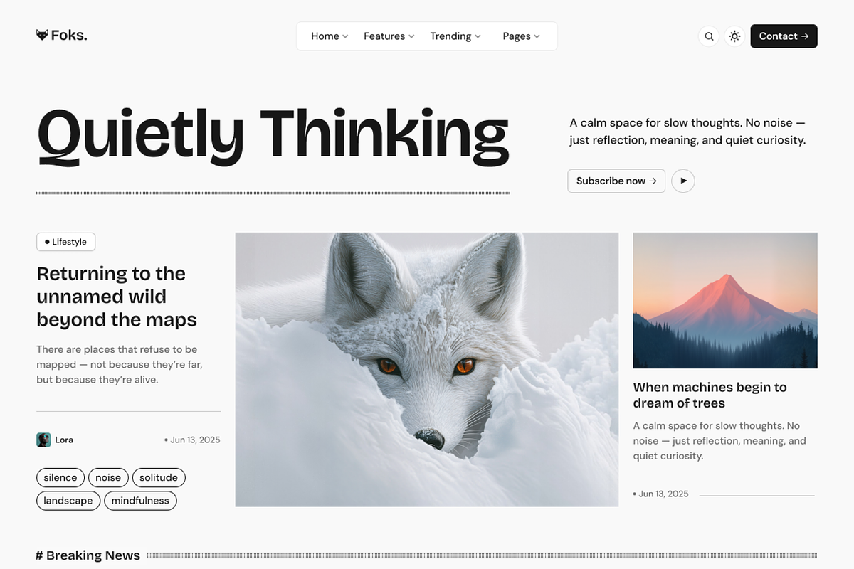 Foks - Lightweight Blog WP theme, a WordPress Template by AliThemes (Photo 4 of 6)