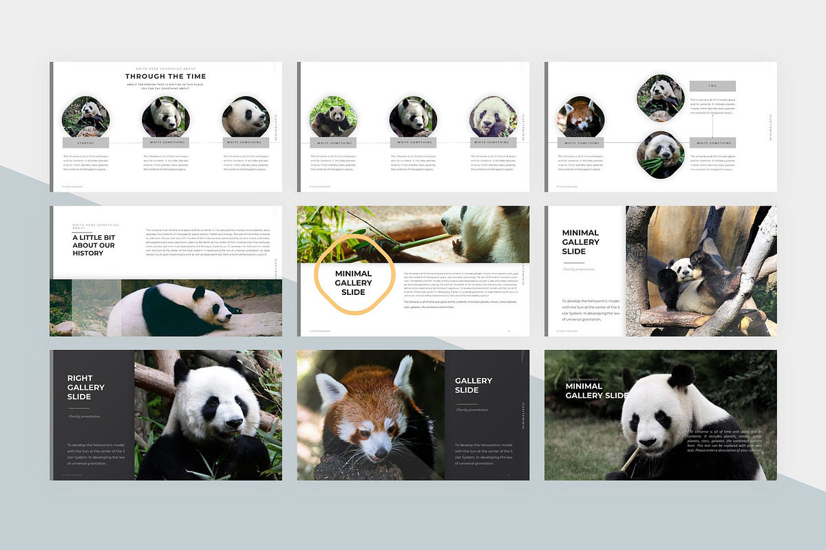 Animal Charity PowerPoint Template, a Presentation Template by litoondev (Photo 2 of 10)