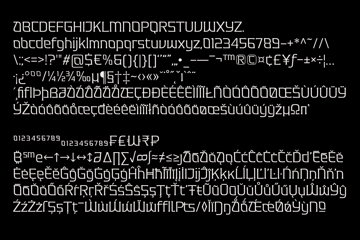 Valenary Prana, a Serif Font by Differentialtype (Photo 11 of 11)