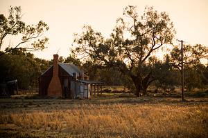 Bush Hut, a Nature Photo by THP Creative