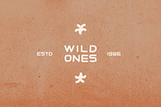 Wildhorse Canyon | Rugged Font, a Sans Serif Font by Midnight Grim (Thumbnail 5 of 6)