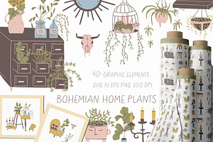 Bohemian Home Plants