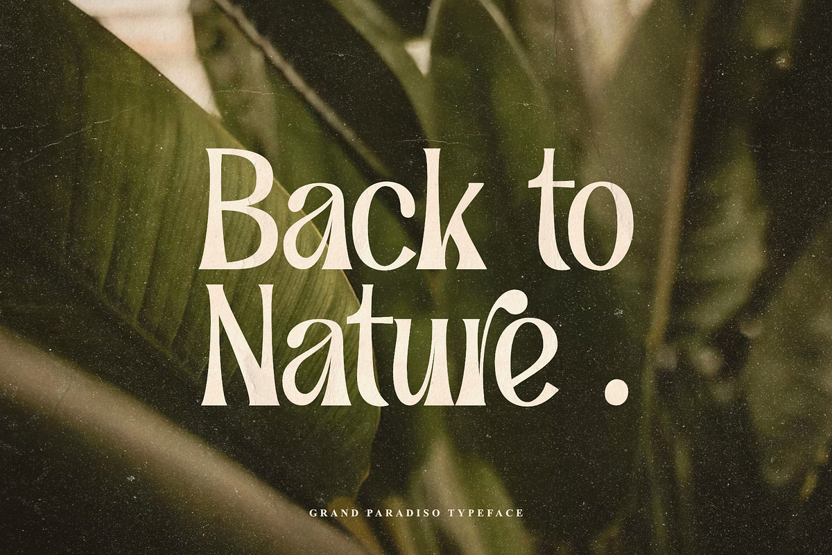 Grand Paradiso - Modern Stylish, a Serif Font by Damarletter (Photo 4 of 12)