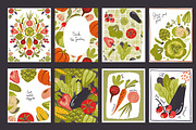 Fruits and Vegetables. Vector set, a Food Illustration by Molly art (Thumbnail 5 of 13)